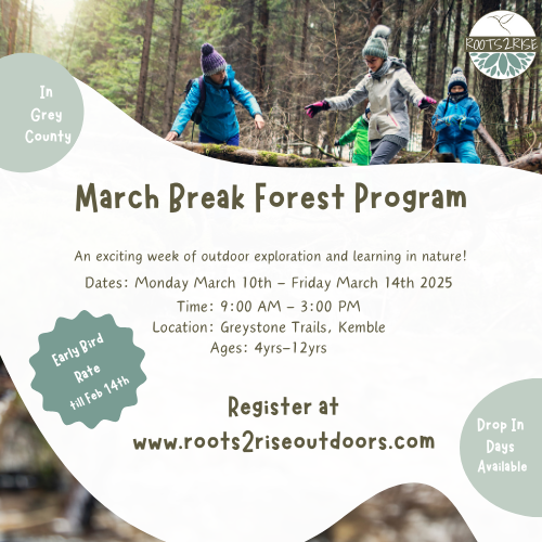 Event image March Break Forest Camp